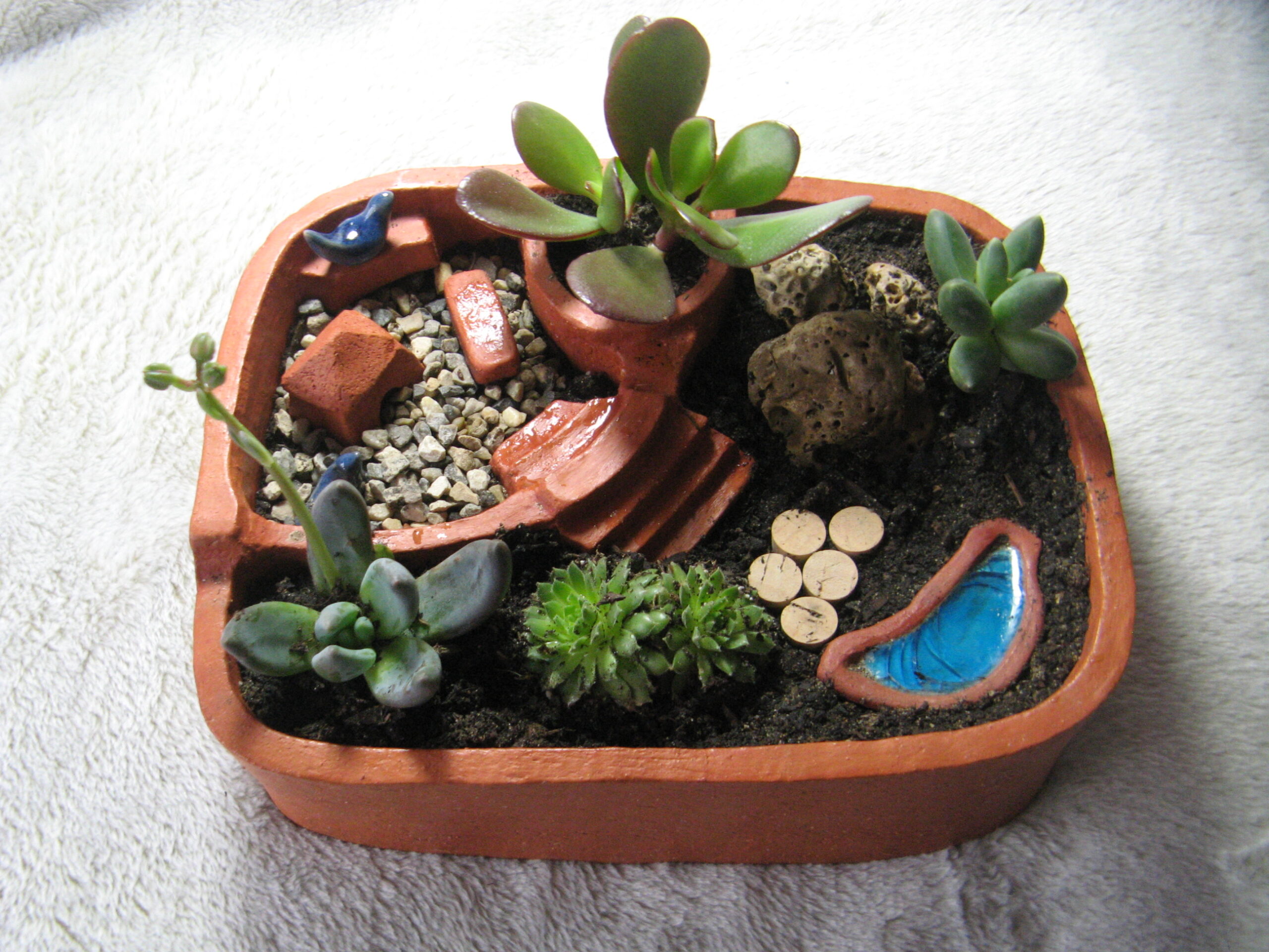 Jardin aux 2 escaliers