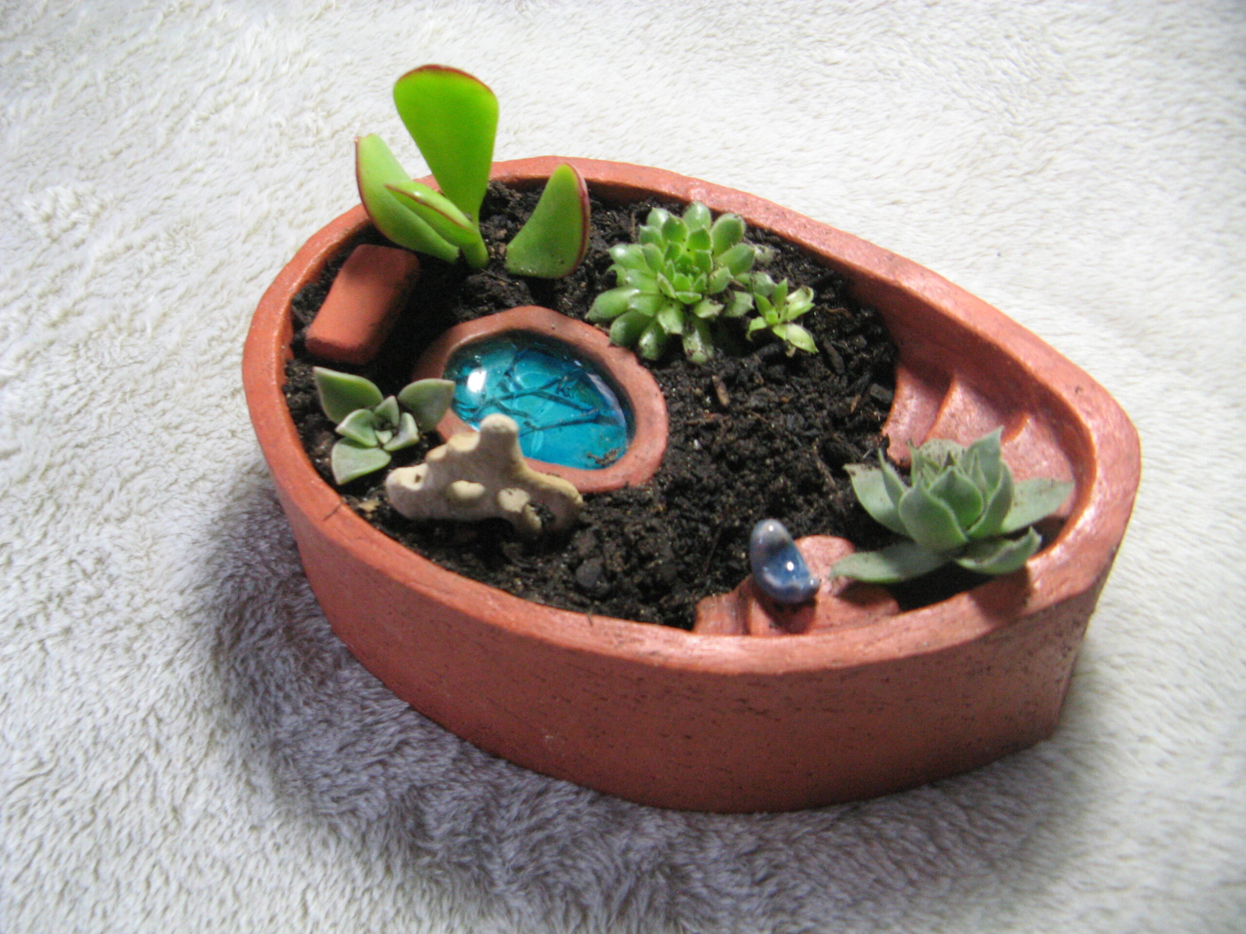 Petit Jardin