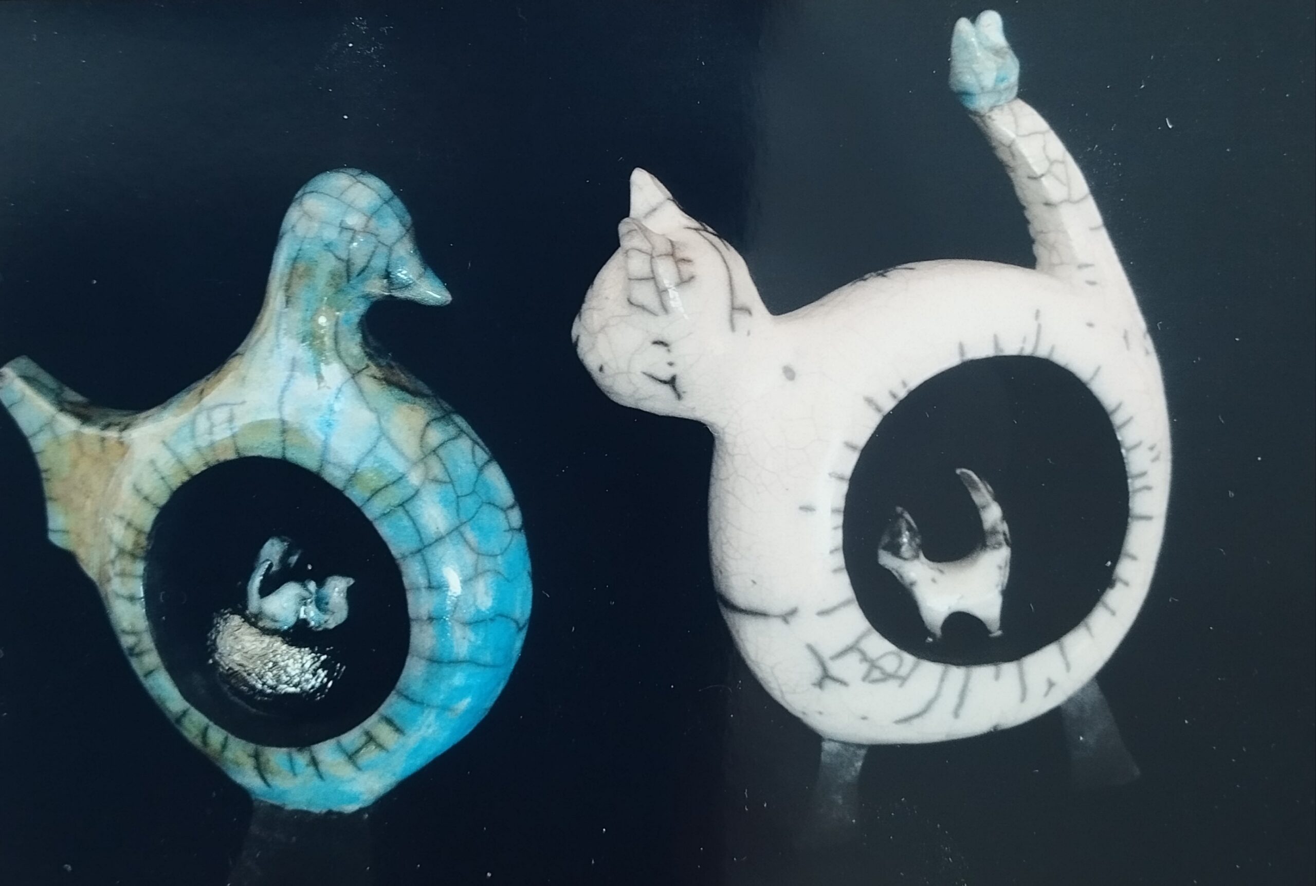 Oiseau et Chat toriques
