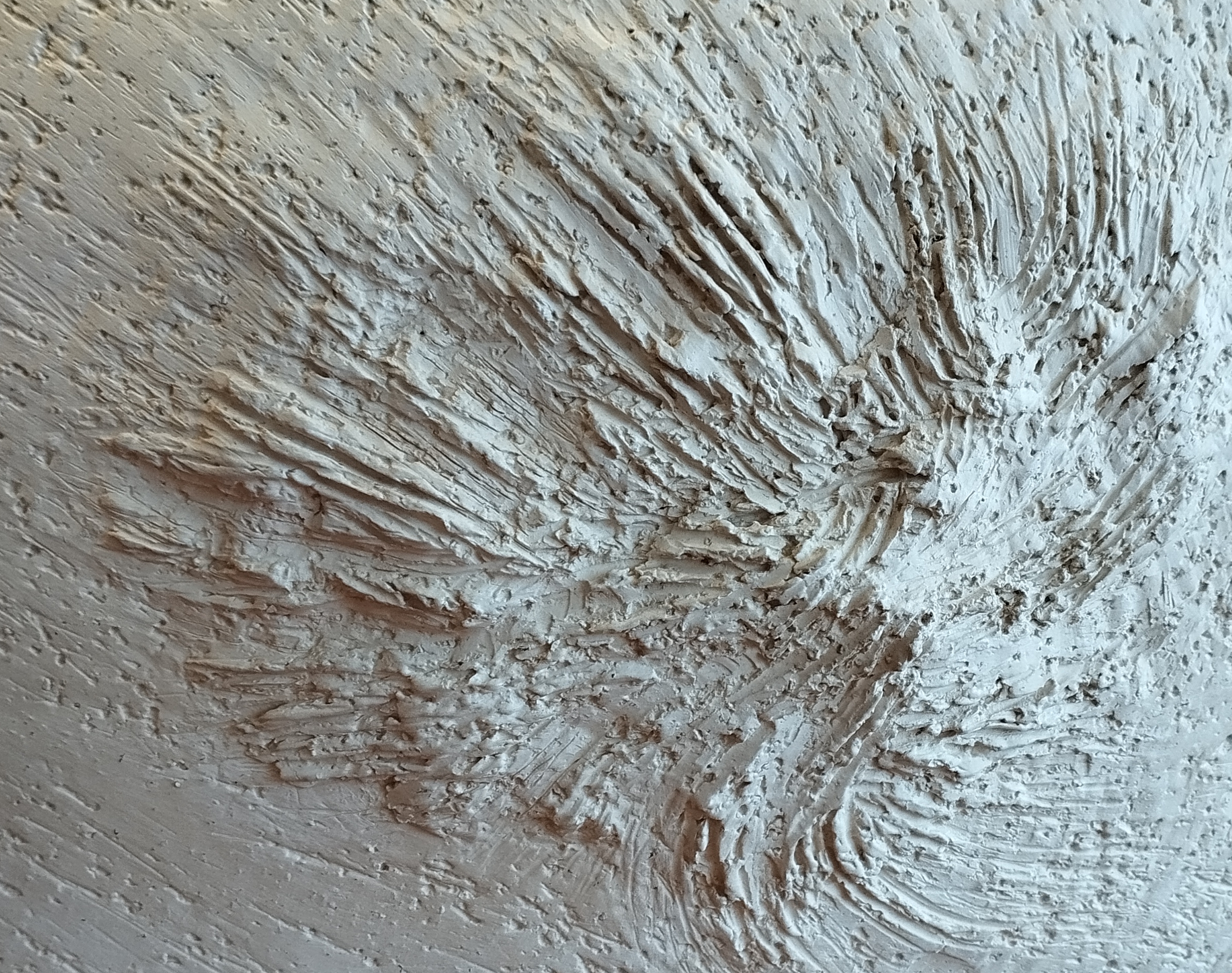 Eclat détail