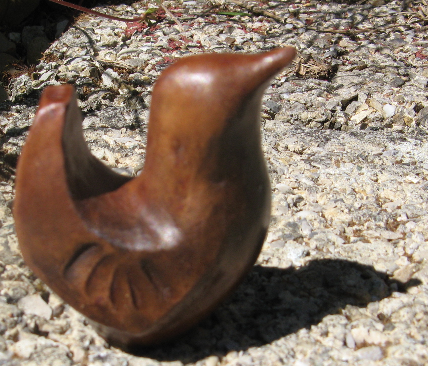 Oiseau espiègle